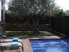 terra piscina